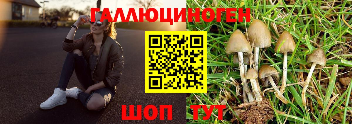 Псилоцибиновые грибы мухоморы Симферополь